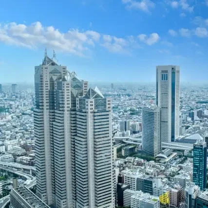 Park Hyatt Tokyo — Shinjuku Skyline