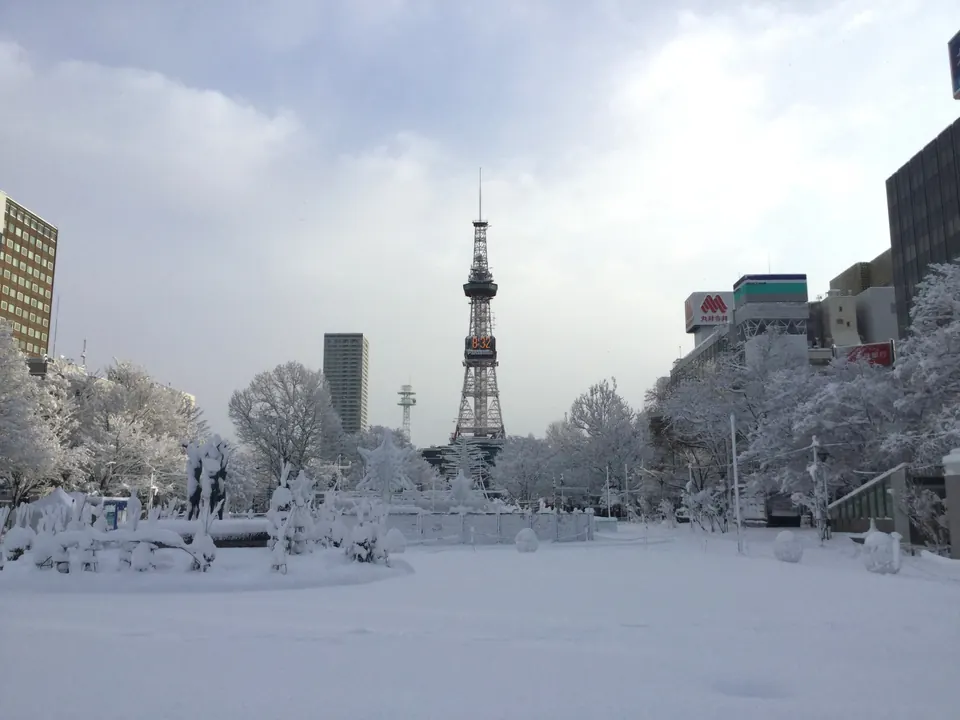 Sapporo TV Tower rising beyond the snow-covered trees of Odori Park
