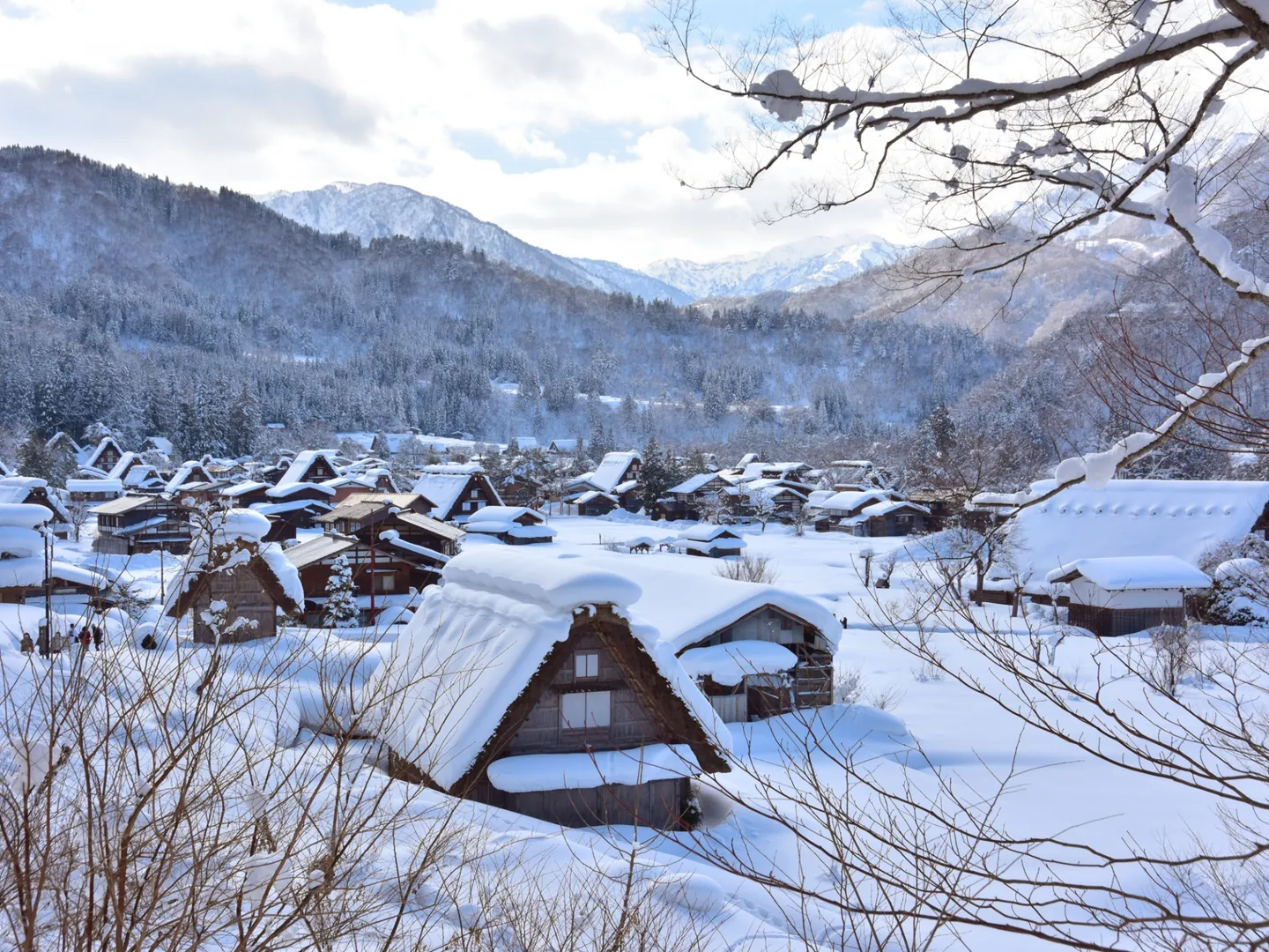 Snow covering the steep thatched roofs of Shirakawa-go's Ogimachi village beneath wooded mountains