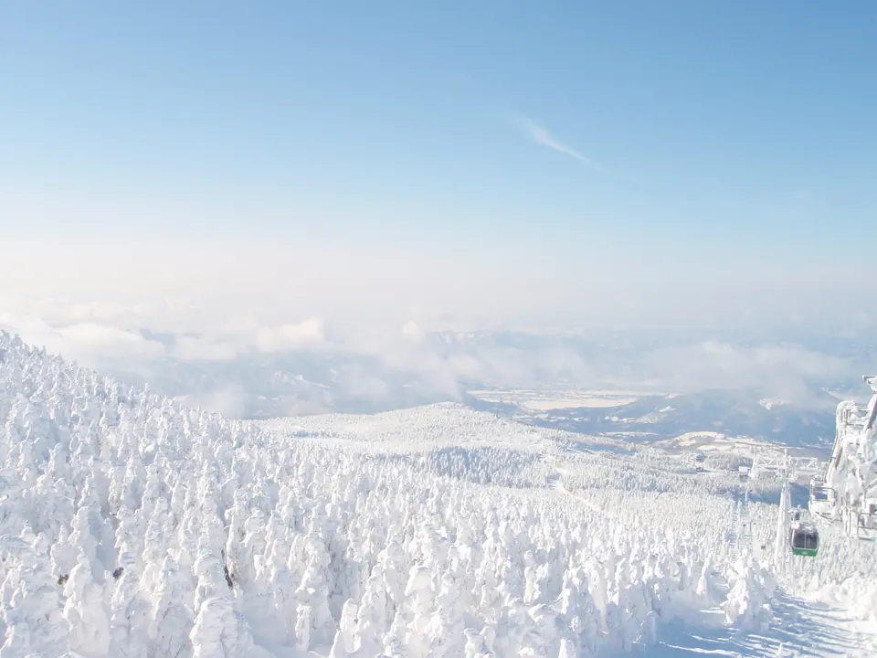A ropeway cabin passing over a mountainside of snow-covered trees