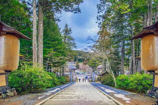 Koyasan Shukubo Booking