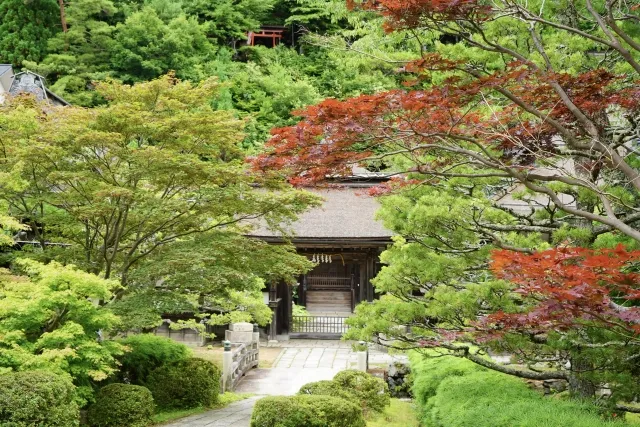 Koyasan Shukubo Temple Stay (from ¥12,000/night)