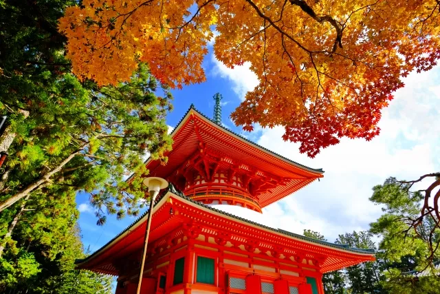 Koyasan Shukubo: Book Now if You're Visiting in Sakura or Autumn